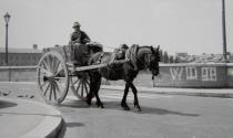 Carrettieri e vetturini, cavalli in citt&agrave;