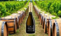Abel&eacute; 1757 Champagne Brut: Fragrante e semplice dal perlage filante. Morbido al palato