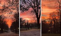 Foto tramonto al Parco Ducale di Parma di Sabato 10 Gennaio 2026