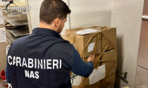 Sequestrate oltre 290 confezioni di conserve irregolari