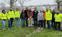 Si infiggono le palancole per proteggere il lavoro dei sommozzatori sulle pile del ponte. Sopralluogo di Provincia di Parma e Comuni.