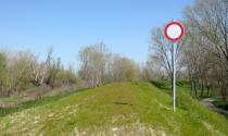 Scatta la chiusura dell'argine del Tombone fra Polesine Zibello e Roccabianca