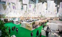 Domani si apre Vinitaly. Sos enoturismo, il mondo del vino cerca risposte