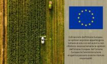 Via libera dall'Eurocamera alla stretta sulle pratiche sleali nell'agroalimentare