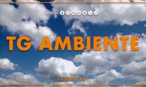 Tg Ambiente - 18/1/2026