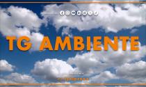 Tg Ambiente - 22/2/2026