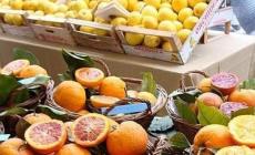 È arrivato il tempo delle arance e dei mandarini
