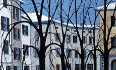 Mezz'ora d'arte con Bruno Bricoli,  domenica 5 dicembre alle 16