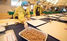 Anolini solidali, chef e rezdore "del momento" al lavoro al Tulipano - Le foto 