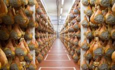 Lesignano, trovati in uno stabilimento 8.600 prosciutti crudi con larve e parassiti: maxi-sequestro