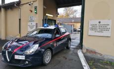 Controlli a Parma: due stranieri denunciati per spaccio, 7 giovani segnalati come assuntori di stupefacenti 