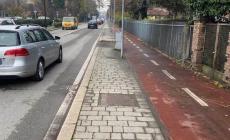 Via Mantova senza prunus: abbattute tutte le piante e mai sostituite