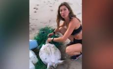 La top model Gisele salva una tartaruga marina: il video diventa virale