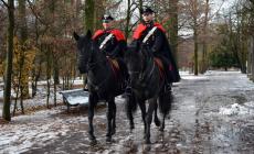 Arrivano a Parma le pattuglie a cavallo dei carabinieri