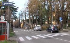 Felino, domani la festa di Santa Lucia e l'accensione dell'albero - Video