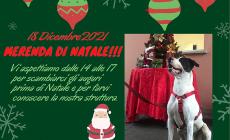 Il Polo di affezione Lilli e il Vagabondo invita alla merenda di Natale