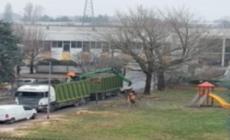 "Via Zacconi:  disboscamento immotivato"

