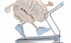 Muoviti! Aumenteranno   muscoli ed  intelligenza
