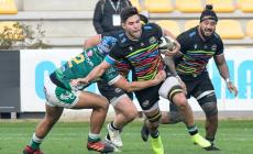 Per le Zebre alla Vigilia il derby italiano con il  Benetton  - Video