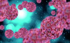 Papilloma virus responsabile di molti tipi di tumore: come evitarlo