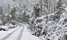 Da metà settimana blitz artico, venti freddi e neve
