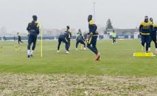 Parma, continua al ricerca di una punta. Mancuso, Torregrossa e Farias in cima alla lista - Video 