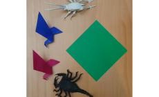 Ecco come fare un origami - Video