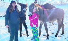 Simona Abelli: «Il mio ritorno alle radici per produrre secondo natura»