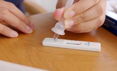L'Emilia Romagna aggiorna il fascicolo sanitario elettronico, stop di un'ora