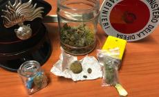 23enne denunciato: addosso e in casa  aveva hascisc, marijuana e cocaina