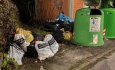 Due lettori da via Ghirarduzzi: "La strada è una discarica: è insostenibile" - Foto