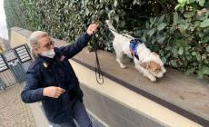 Parco Falcone e Borsellino, il cagnolino Leo fiuta tra i cespugli le bustine di droga pronte per lo spaccio