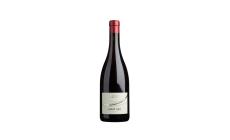 Alto Adige Pinot Noir 2020