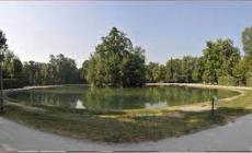 Iniziata la manutezione delle piante al Parco Ducale - Video