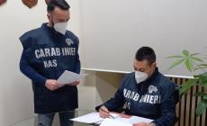 Falsa autocertificazione per non pagare il ticket: multa di 493 a una donna