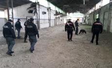 Rave party nel Modenese smantellato, 156 giovani identificati, tra questi anche dei parmigiani
