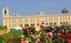 Visita guidata  alla flora effimera della Reggia