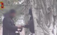 Prima le risse, poi l'accordo sulla spartizione del mercato della droga: 11 misure cautelari. Due gli irreperibili