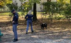 Parco Ducale, Parco Falcone e Borsellino e Parco nord: nei cespugli dosi di marijuana e un etto di hashish