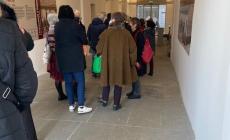 Una processione continua di visitatori: la mostra sui Capannoni a Parma è già un successo