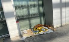 Un nuovo giaciglio  di rifiuti e sporcizia per il senzatetto che dormiva in via Garibaldi