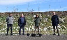 Un bosco in via Bettoli contro smog e cambiamento climatico
