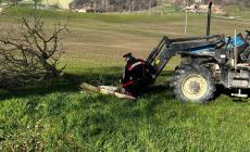 Colpito da un ramo mentre potava una pianta, grave un agricoltore nel Reggiano
