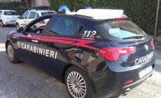 Fugge con gli alcolici rubati, spinge via il vigilante e si rifugia in un garage di via Terracini: arrestato