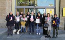 Vetrine Consapevoli dell’endometriosi, a Parma premi speciali