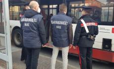 Controlli dei Nas sui bus: a Parma denunciato passeggero che aveva il Green pass di un'altra persona