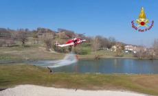 Individuato dai carabinieri forestali  l'autore dell'incendio a Pietranera - Video