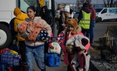 Ucraini in Italia: 300 euro a ogni profugo, 150 ai figli minorenni. Alle associazioni 33 euro per ogni assistito