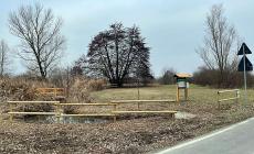 Sissa Trecasali, domenica primo incontro sulla natura