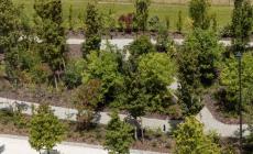 Inaugurazione del Bosco Urbano di Parma Mia